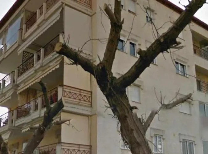 Fbm Anagenessis - ευ ζην 2 * 埃泽萨